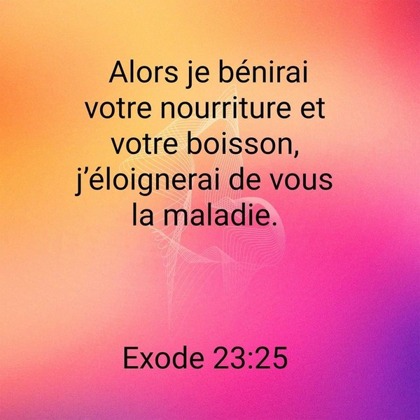 exode 23 1 9 explication