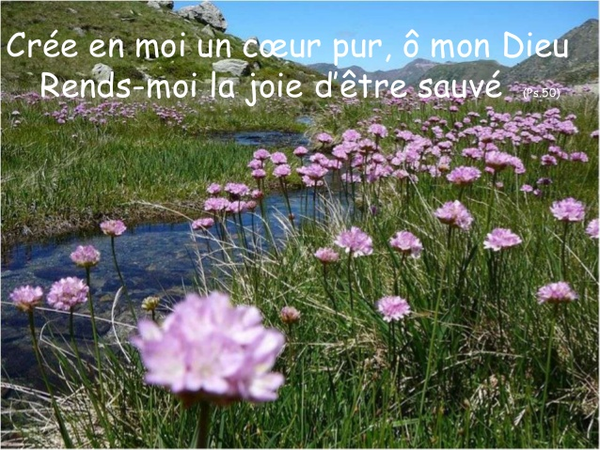 Crée moi un coeur pur....